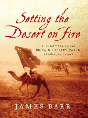 cover image of Setting the Desert on Fire